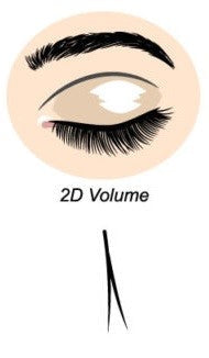2D PREMIUM SILK EYELASH 0.10 CC 12mm_0